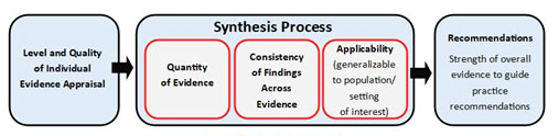 Synthesis Process