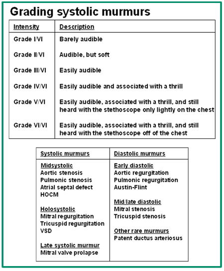 Grading Systolemic Murmurs