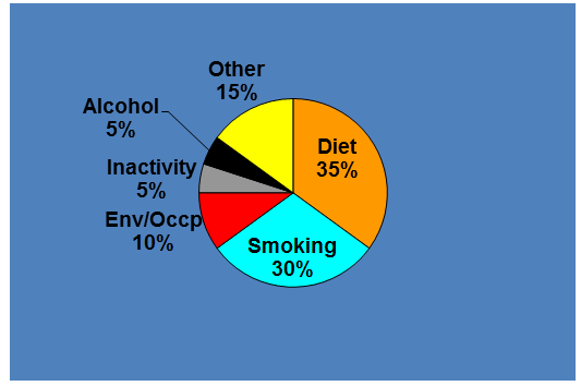 influence of diet
